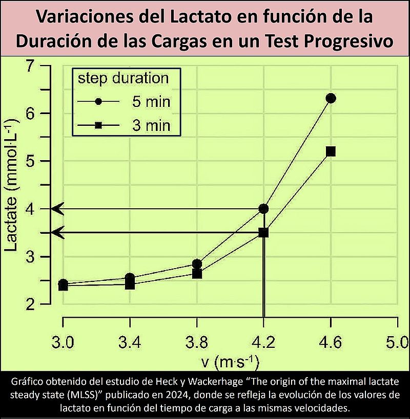 Variaciones de la concentración de lactato en función de la duración de las cargas en un test progresivo